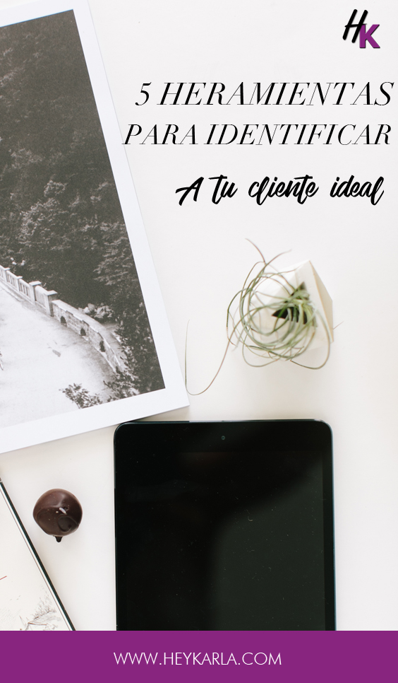 5 herramientas para identificar a tu cliente ideal #clienteideal #businnes #negociosOnline