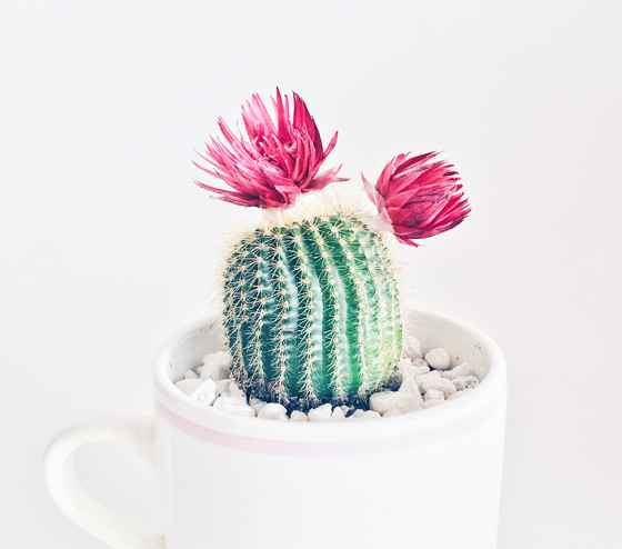 3 SENCILLAS CLAVES QUE TE AYUDARAN A VENDER MÁS EN INTERNET