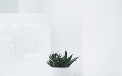 COMO CREAR CONTENIDO DE VALOR