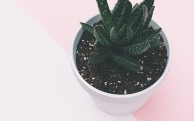 COMO CONSEGUIR MAS SEGUIDORES EN INSTAGRAM CON PINTEREST