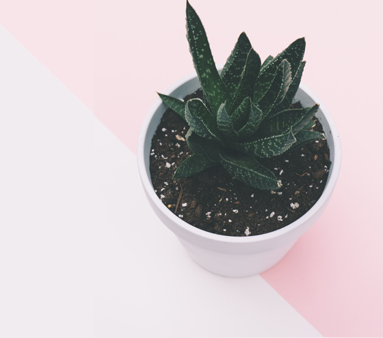 COMO CONSEGUIR MAS SEGUIDORES EN INSTAGRAM CON PINTEREST