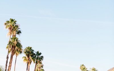 CÓMO FUNCIONA EL ALGORITMO DE INSTAGRAM
